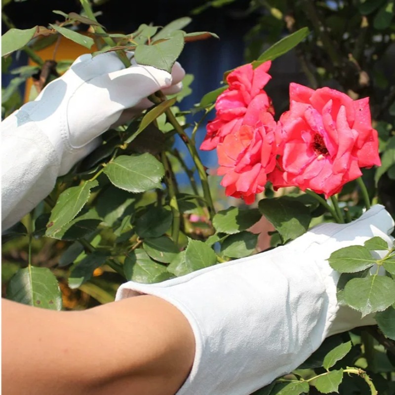 A Pair of Garden Gloves Thorn  - Gardening Glove Waterproof ulasan dan harga